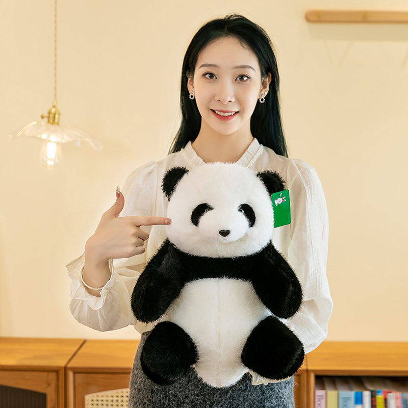 小金貂面料熊猫，辉子网供