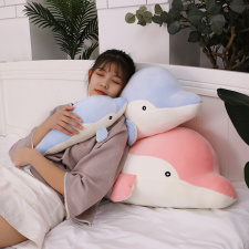 辉子网供 海豚
