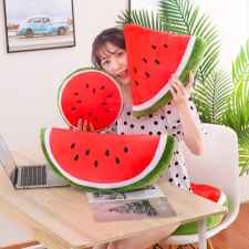 辉子网供 西瓜抱枕