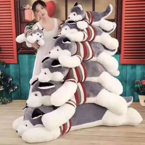 毛衣哈士奇