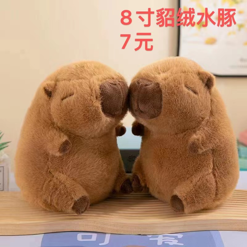 8寸貂绒水豚，娃仔网供