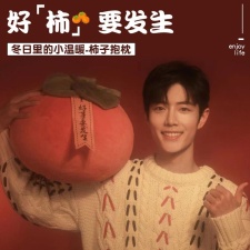 柿子抱枕,成飞毛绒玩具 柿子抱枕,成飞毛绒玩具