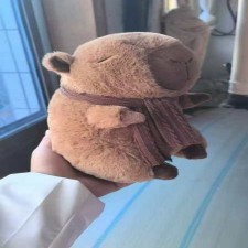 围巾水豚,梦艺毛绒玩具 围巾水豚,梦艺毛绒玩具