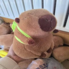 乌龟水豚,梦艺毛绒玩具 乌龟水豚,梦艺毛绒玩具