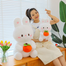 萝卜兔,晶广网供 萝卜兔,晶广网供