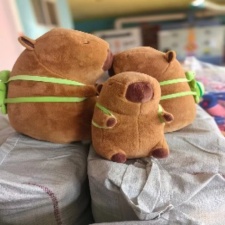 乌龟款水豚,佰迪乐毛绒玩具 乌龟款水豚,佰迪乐毛绒玩具