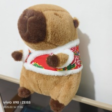 花袄水豚,王艳涛毛绒玩具厂 花袄水豚,王艳涛毛绒玩具厂