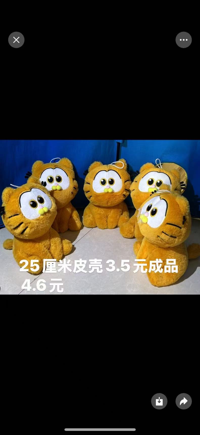 加菲猫（十个起售），熊孩纸毛绒玩具厂