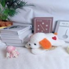 洁白无瑕的趴狗送小朋友抓机专供到手十个,保定白沟新城卓远毛绒玩具加工厂 洁白无瑕的趴狗送小朋友抓机专供到手十个,保定白沟新城卓远毛绒玩具加工厂