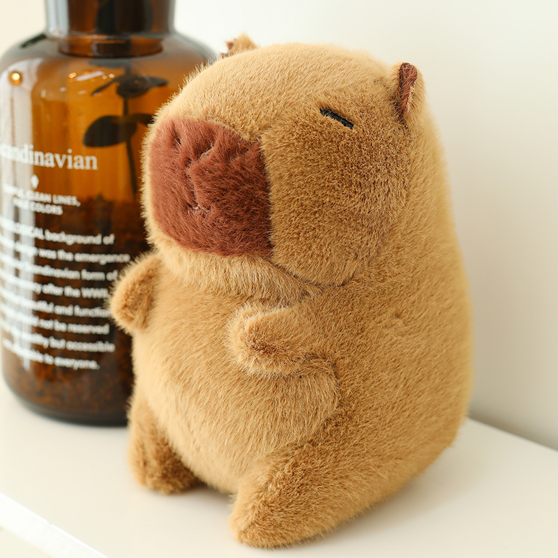 貂毛裸板水豚，米諾網供