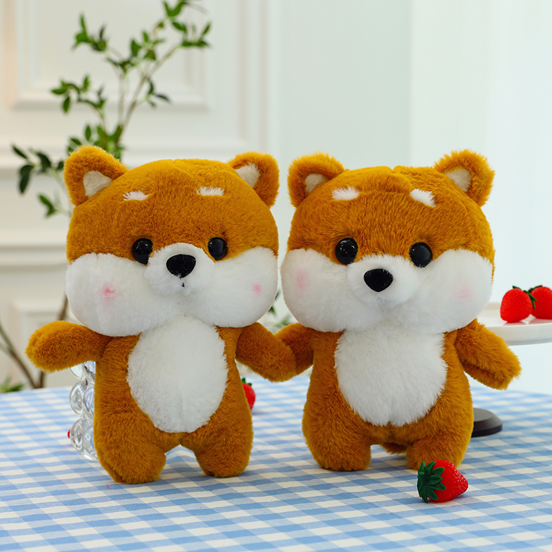 柯基狗，米諾網(wǎng)供