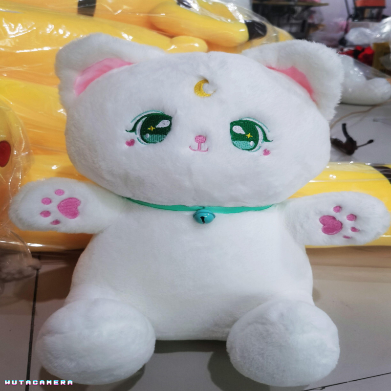 铃铛猫爆款精品卡通毛绒小猫玩具时尚可爱公仔，乐雯毛绒玩具