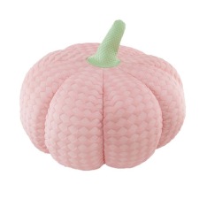 抱抱熊玩具 冰豆豆南瓜