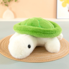 8寸貂毛烏龜25厘米0.12kg